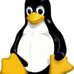 Linux support